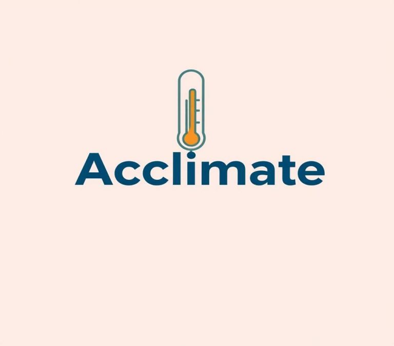 Acclimate vs Acclimatize: Grammar Usage & When To Pick  Which